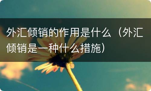 外汇倾销的作用是什么（外汇倾销是一种什么措施）