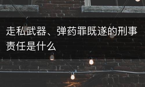 走私武器、弹药罪既遂的刑事责任是什么