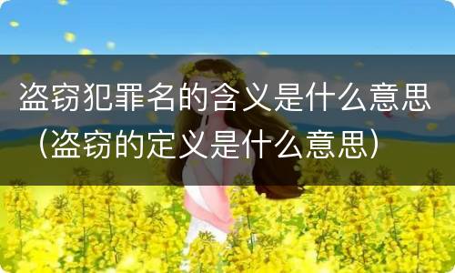 盗窃犯罪名的含义是什么意思（盗窃的定义是什么意思）