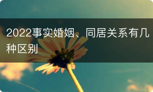 2022事实婚姻、同居关系有几种区别