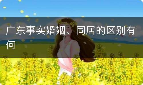 广东事实婚姻、同居的区别有何