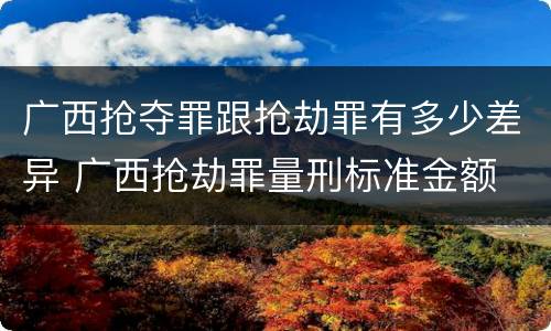 广西抢夺罪跟抢劫罪有多少差异 广西抢劫罪量刑标准金额