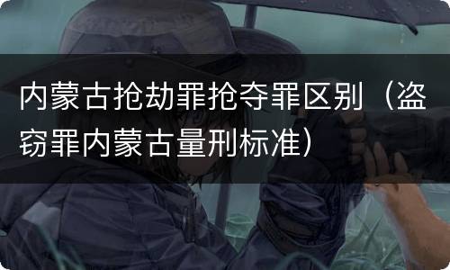内蒙古抢劫罪抢夺罪区别（盗窃罪内蒙古量刑标准）