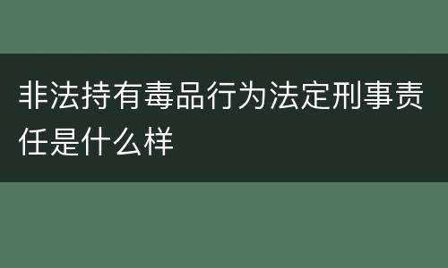 非法持有毒品行为法定刑事责任是什么样