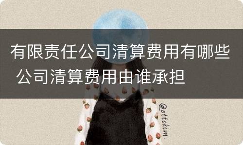 有限责任公司清算费用有哪些 公司清算费用由谁承担