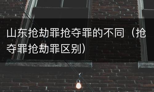 山东抢劫罪抢夺罪的不同（抢夺罪抢劫罪区别）