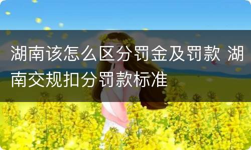 湖南该怎么区分罚金及罚款 湖南交规扣分罚款标准