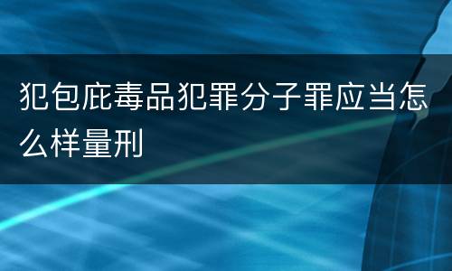 犯包庇毒品犯罪分子罪应当怎么样量刑