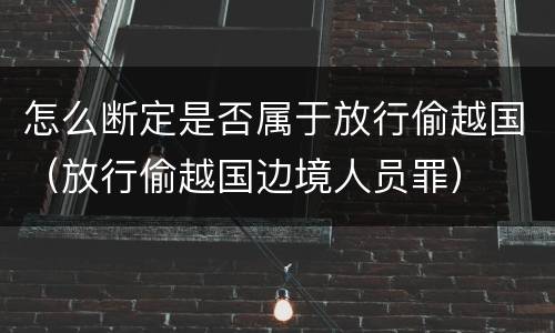 怎么断定是否属于放行偷越国（放行偷越国边境人员罪）