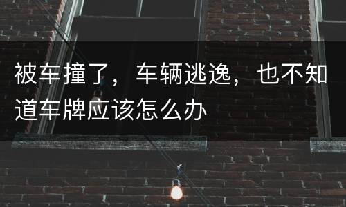 被车撞了，车辆逃逸，也不知道车牌应该怎么办