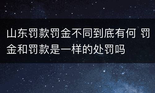 山东罚款罚金不同到底有何 罚金和罚款是一样的处罚吗