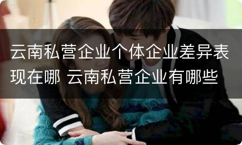 云南私营企业个体企业差异表现在哪 云南私营企业有哪些