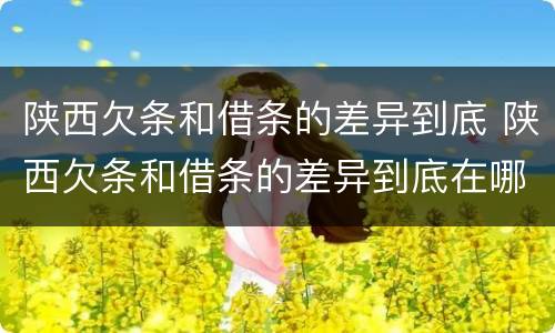 陕西欠条和借条的差异到底 陕西欠条和借条的差异到底在哪里