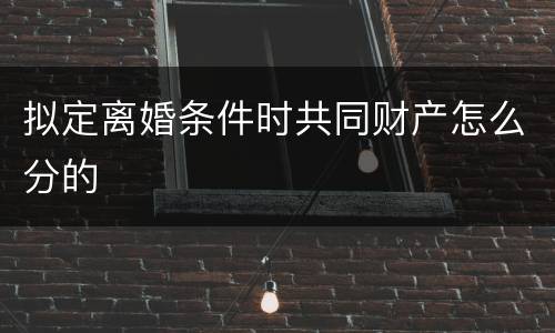 拟定离婚条件时共同财产怎么分的