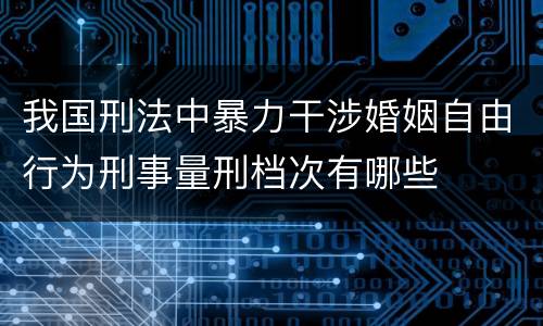 我国刑法中暴力干涉婚姻自由行为刑事量刑档次有哪些