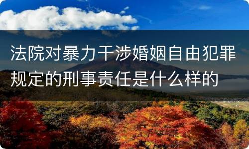 法院对暴力干涉婚姻自由犯罪规定的刑事责任是什么样的