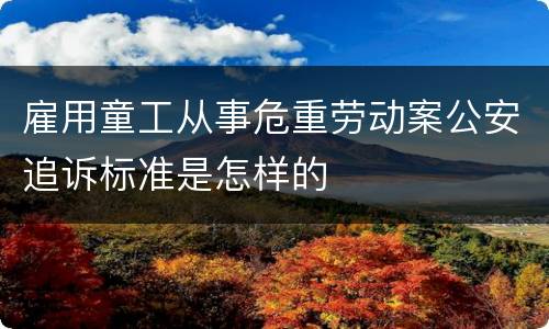 雇用童工从事危重劳动案公安追诉标准是怎样的