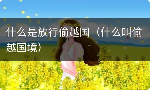 什么是放行偷越国（什么叫偷越国境）