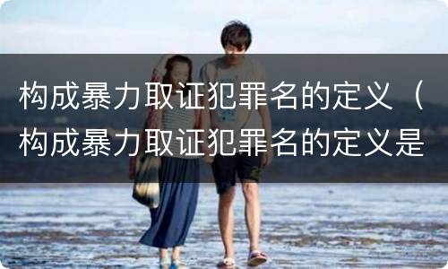 构成暴力取证犯罪名的定义（构成暴力取证犯罪名的定义是什么）