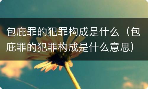 包庇罪的犯罪构成是什么（包庇罪的犯罪构成是什么意思）
