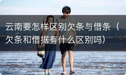 云南要怎样区别欠条与借条（欠条和借据有什么区别吗）