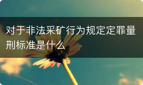 对于非法采矿行为规定定罪量刑标准是什么