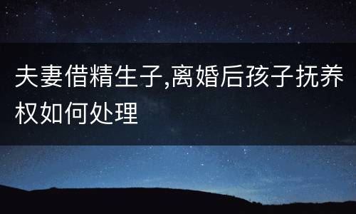 夫妻借精生子,离婚后孩子抚养权如何处理