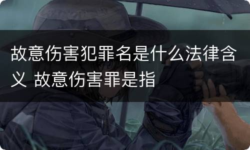 故意伤害犯罪名是什么法律含义 故意伤害罪是指