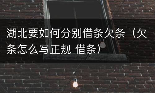 湖北要如何分别借条欠条（欠条怎么写正规 借条）