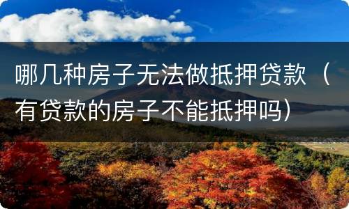 哪几种房子无法做抵押贷款（有贷款的房子不能抵押吗）
