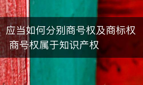 应当如何分别商号权及商标权 商号权属于知识产权