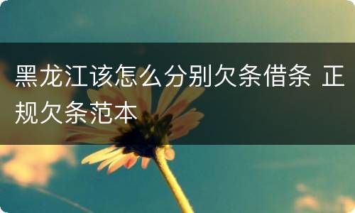 黑龙江该怎么分别欠条借条 正规欠条范本