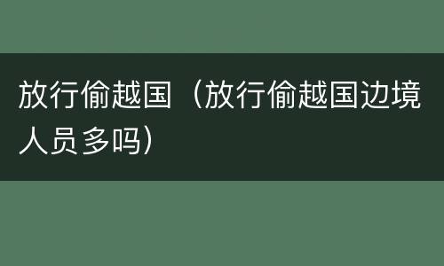 放行偷越国（放行偷越国边境人员多吗）