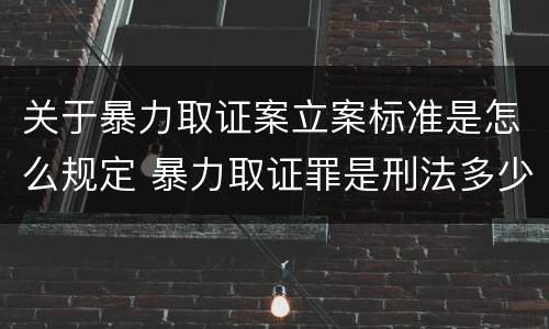 关于暴力取证案立案标准是怎么规定 暴力取证罪是刑法多少条