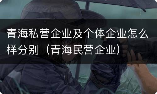 青海私营企业及个体企业怎么样分别（青海民营企业）