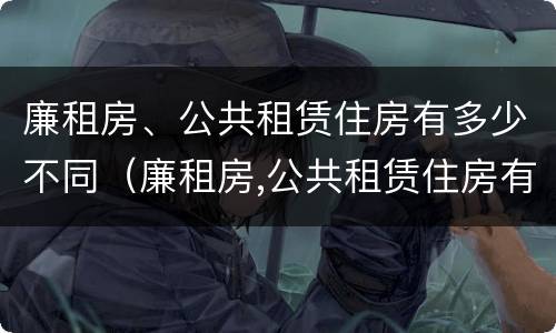 廉租房、公共租赁住房有多少不同（廉租房,公共租赁住房有多少不同的）
