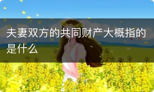 夫妻双方的共同财产大概指的是什么