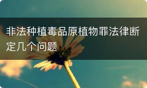 非法种植毒品原植物罪法律断定几个问题