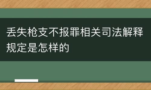 丢失枪支不报罪相关司法解释规定是怎样的