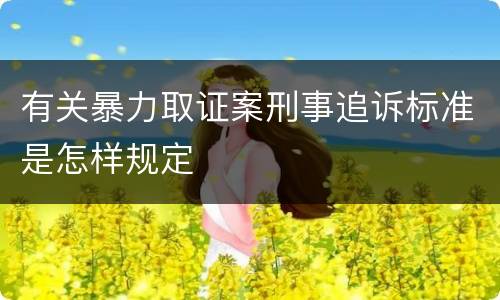 有关暴力取证案刑事追诉标准是怎样规定