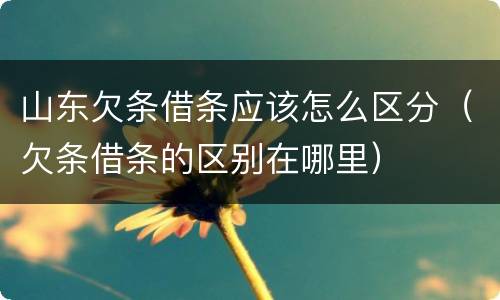 山东欠条借条应该怎么区分（欠条借条的区别在哪里）