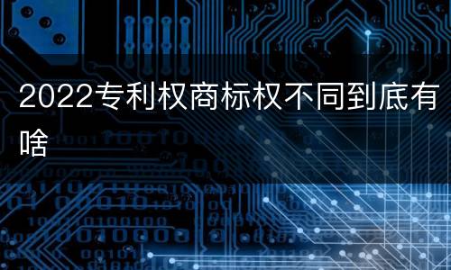 2022专利权商标权不同到底有啥