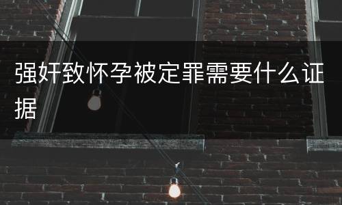 强奸致怀孕被定罪需要什么证据