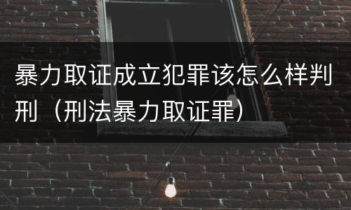 暴力取证成立犯罪该怎么样判刑（刑法暴力取证罪）