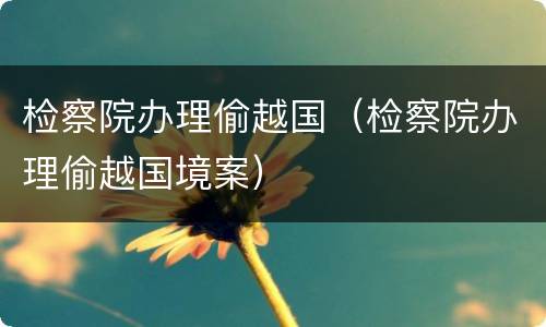 检察院办理偷越国（检察院办理偷越国境案）