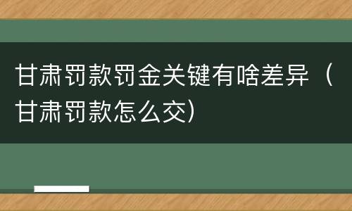 甘肃罚款罚金关键有啥差异（甘肃罚款怎么交）