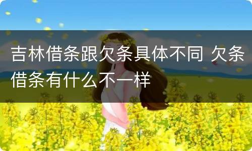 吉林借条跟欠条具体不同 欠条借条有什么不一样