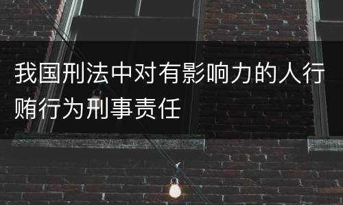 我国刑法中对有影响力的人行贿行为刑事责任