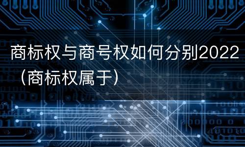 商标权与商号权如何分别2022（商标权属于）