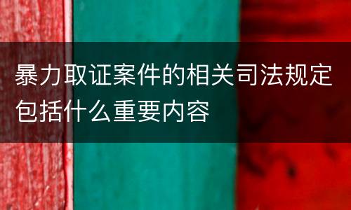 暴力取证案件的相关司法规定包括什么重要内容